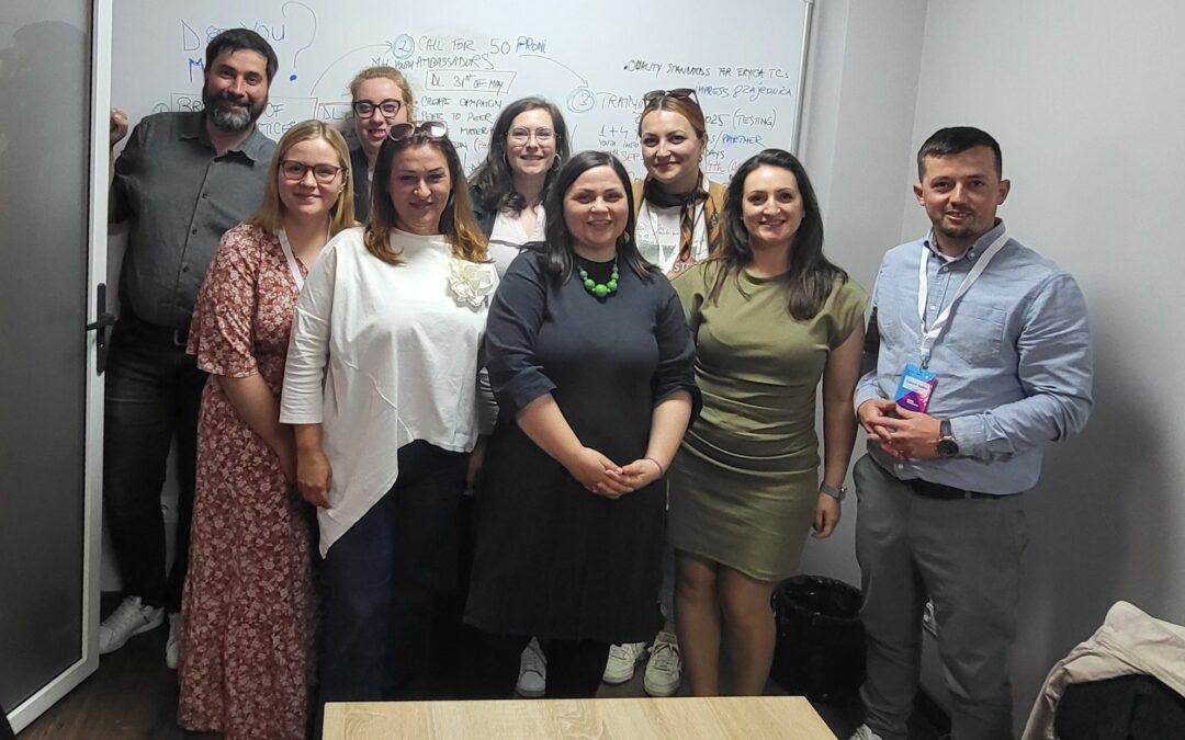 Do You Mind? Dissemination Event at ERYICA General Assembly in Moldova